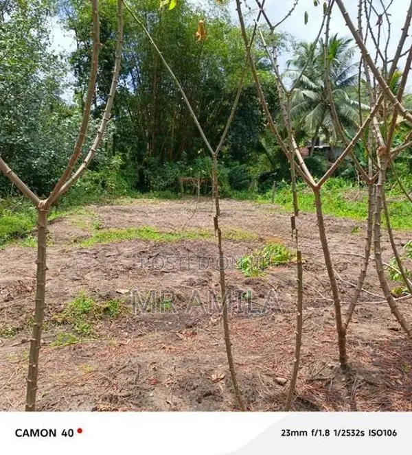 Land for Sale in Mahena ( Horana)