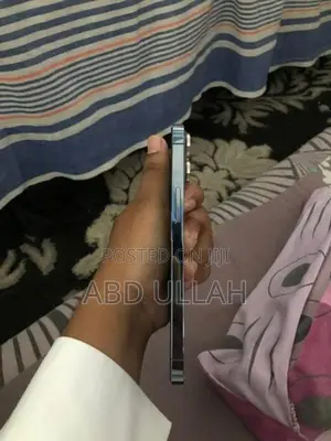 Apple iPhone 13 Pro Max (Used)