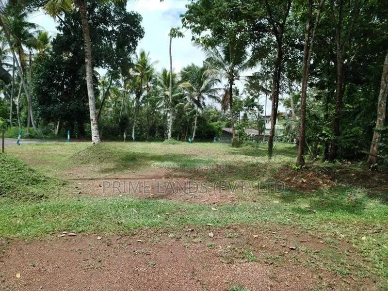 අතුරුගිරිය බොරලුගොඩ පාරෙන් බිම් කොටසක් විකිණීමට