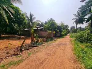 Land for Sale in Diulapitiya