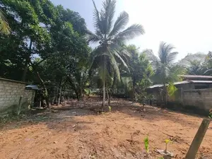 Land for Sale in Diulapitiya