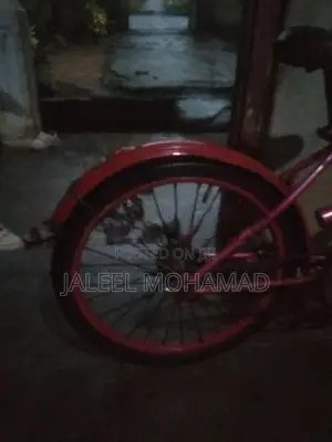 Kids Bicycle