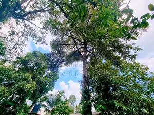 Land for Sale in Nittambuwa