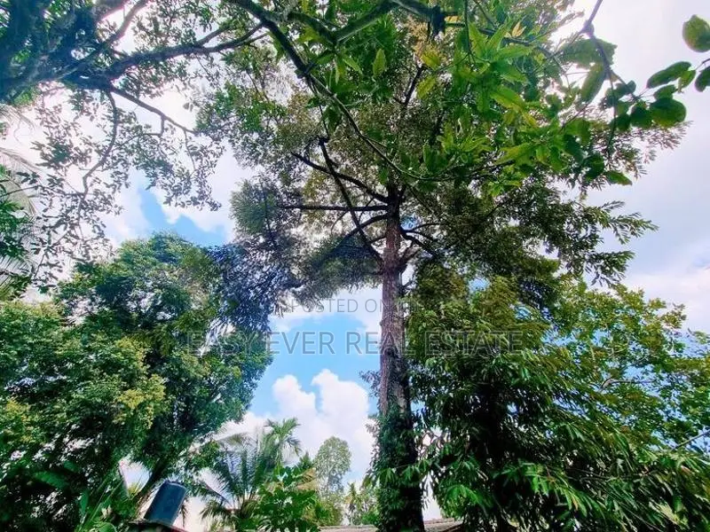 Land for Sale in Nittambuwa