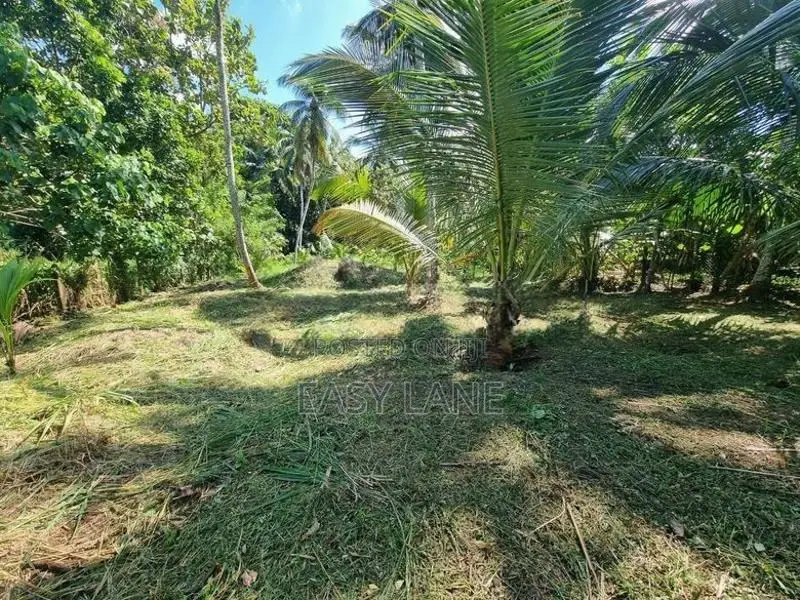 ප්‍රධාන පාරට මුහුණලා වටිනා පොල් ඉඩමක් දිවුලපිටිය