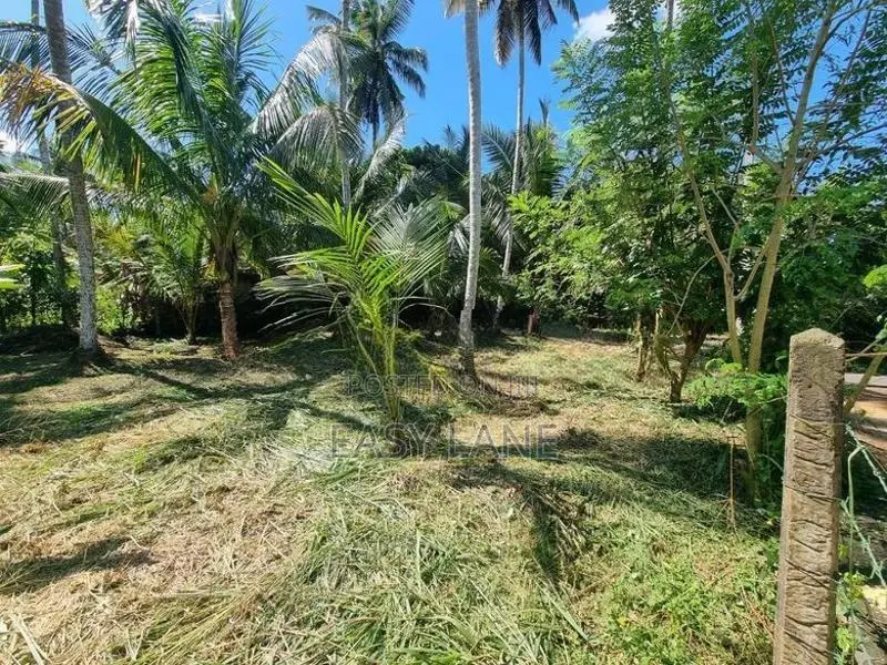 ප්‍රධාන පාරට මුහුණලා වටිනා පොල් ඉඩමක් දිවුලපිටිය