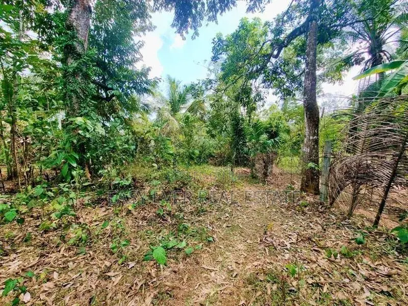 Land for Sale in Nittambuwa