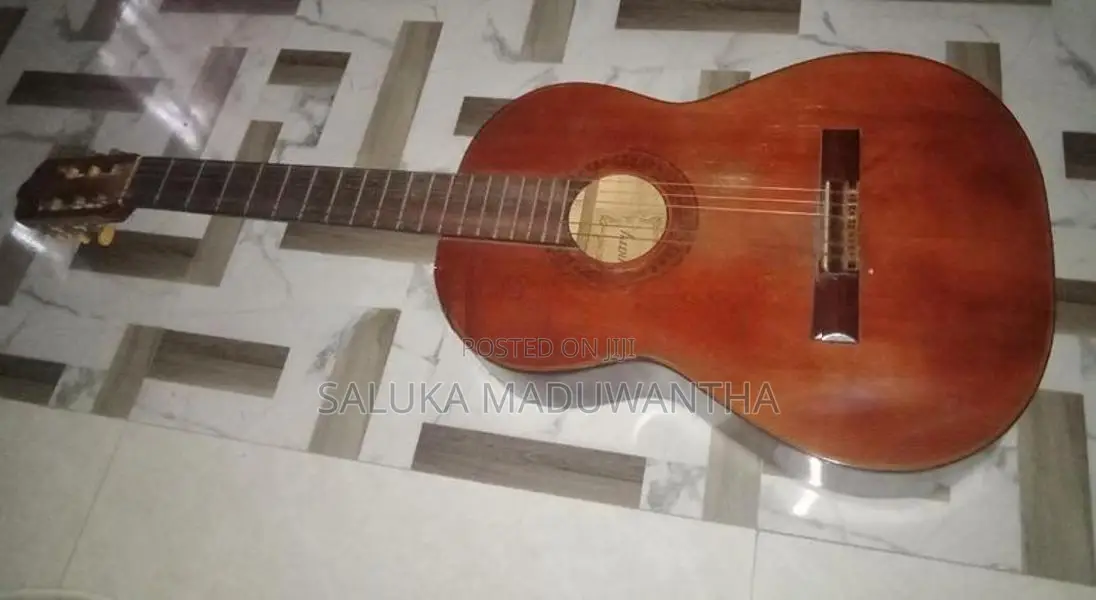 Guitar