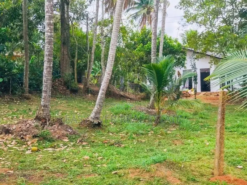 Land for Sale in Gampaha