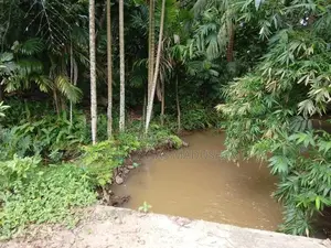 Land for Sale Buttala