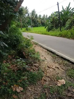 Land for Sale Buttala