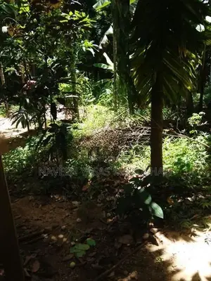 Land for Sale Buttala