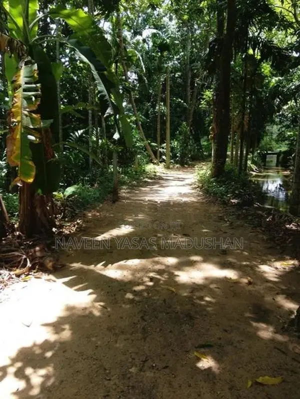 Land for Sale Buttala