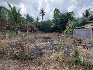 Residential Land for Sale Talawathugoda