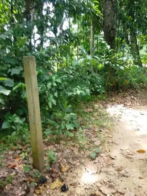 Land for Sale Buttala