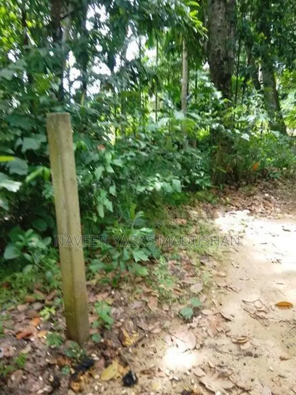 Land for Sale Buttala