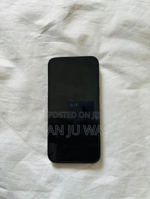 Apple iPhone 13 (Used)