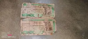 Old Money Notes with Coins