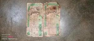 Old Money Notes with Coins