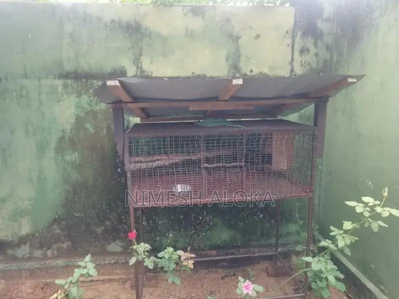 Bird Cage