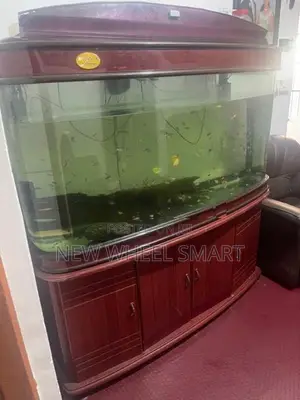Fish Tank