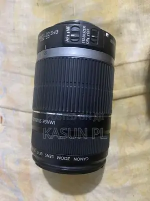 Canon 55-250 Lens