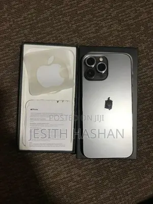 Apple iPhone 13 Pro Max (Used)