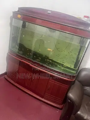 Fish Tank