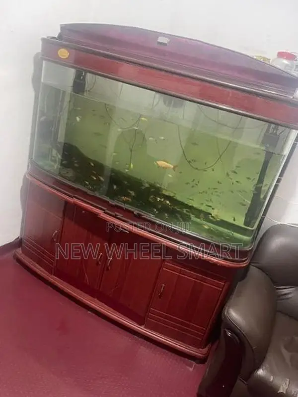 Fish Tank