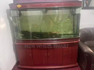 Fish Tank