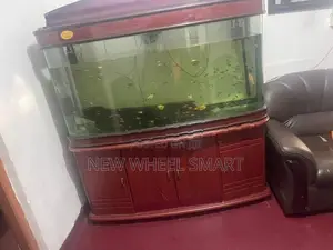 Fish Tank