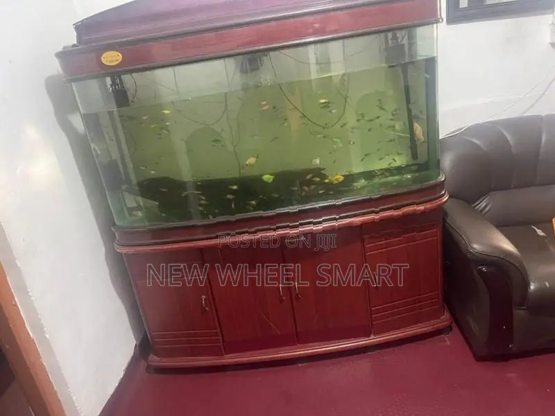 Fish Tank