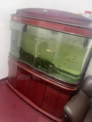 Fish Tank