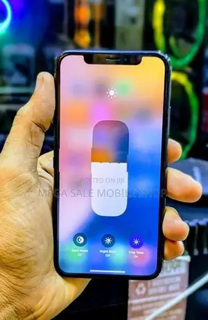 Apple iPhone XS 256GB (Used)