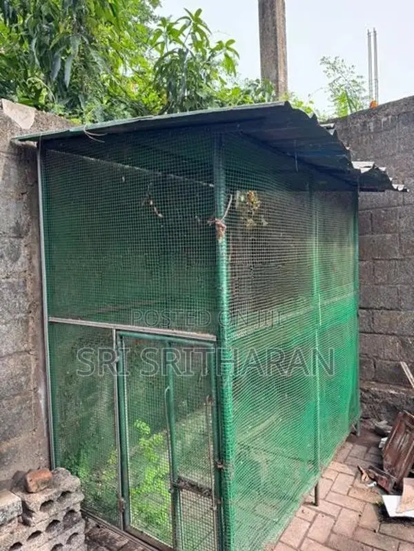 Bird Cage