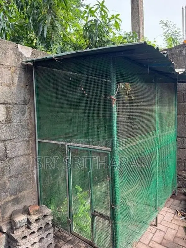 Bird Cage