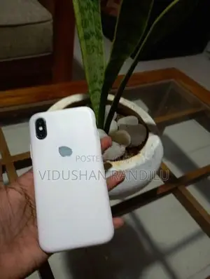 Apple iPhone X (Used)