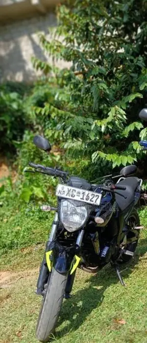 Yamaha FZ 2011