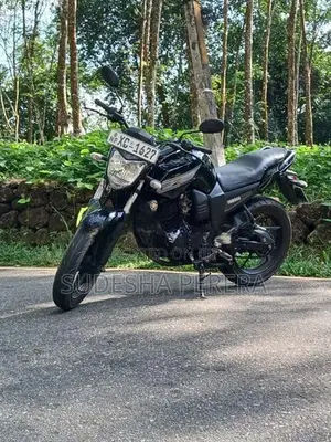 Yamaha FZ 2011