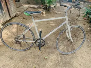 Treck Bicycle