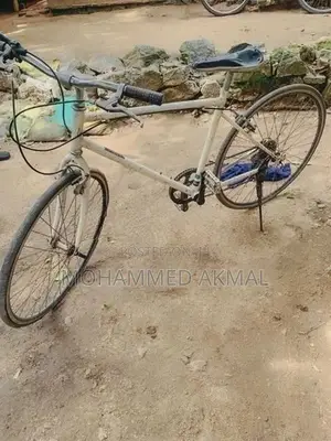 Treck Bicycle