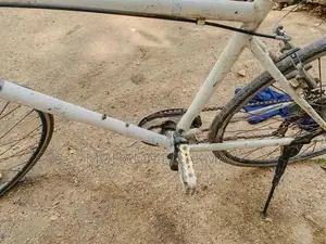 Treck Bicycle