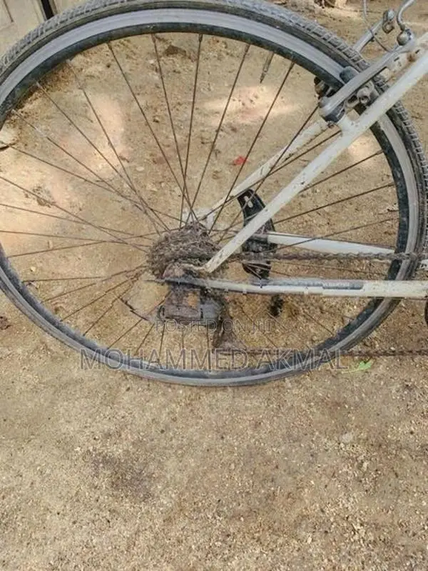 Treck Bicycle