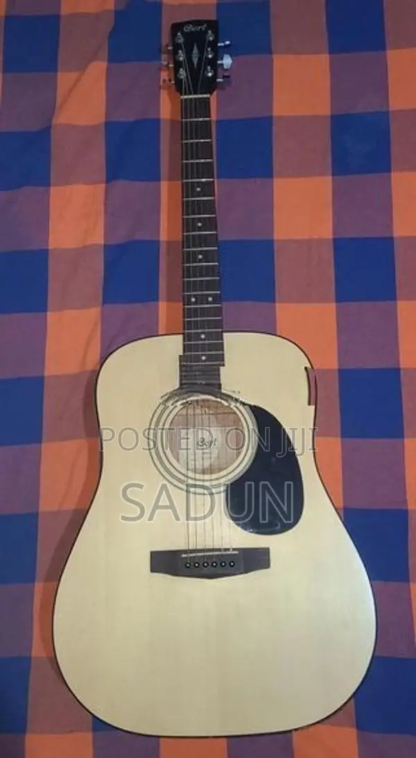 Cort Acoustic Guitar