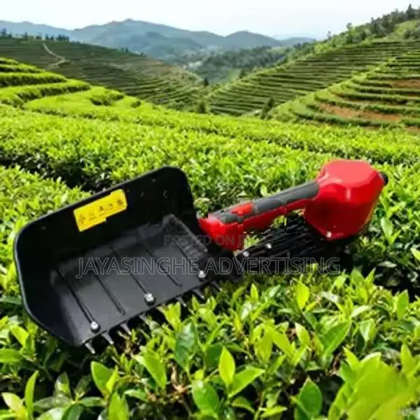 Tea Picking Machine ( U.T.C Brand)
