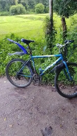 Lumala Bicycle