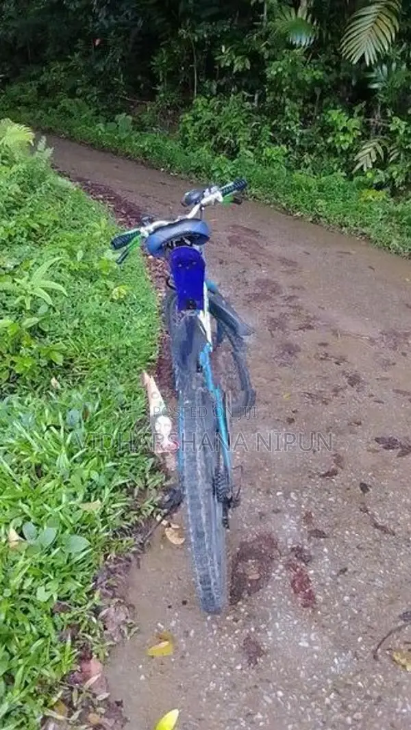 Lumala Bicycle