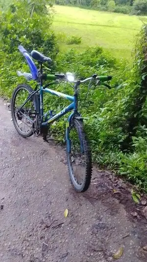 Lumala Bicycle