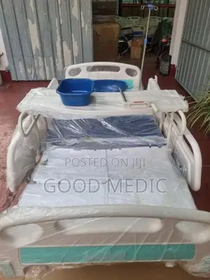 Five Function Electric Beds with Sanitory