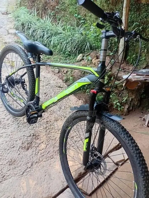 Bicycle